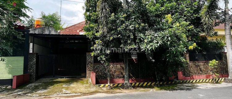 Kontrakan Rumah Murah 3 Kamar Tengah Kota Jember. Dekat Lippo Plaza 1