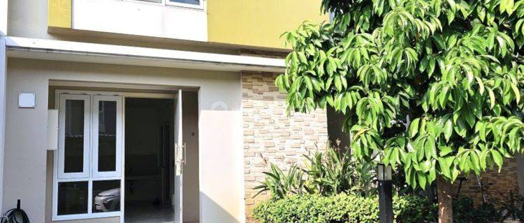 Rumah Cluster Rapi & Murah Di Gading Serpong  1