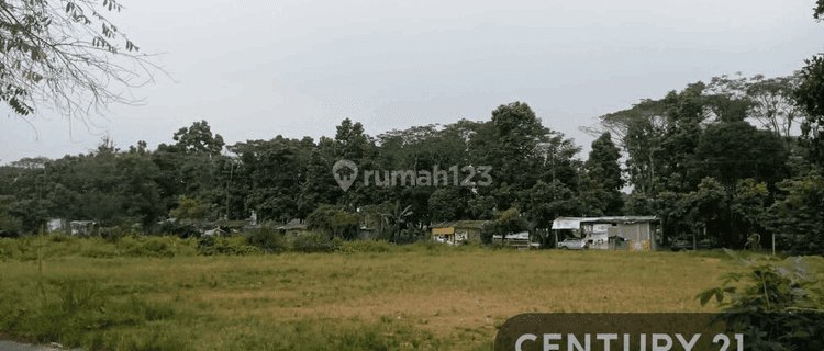 Kavling Lahan Luas CIFOR Ds Situgede Kota Bogor 1