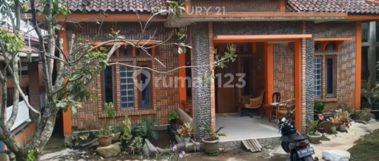 Rumah Luas Plus Kolam Ikan Siap Huni di Jl Batu Gede Ciapus Bogor 1