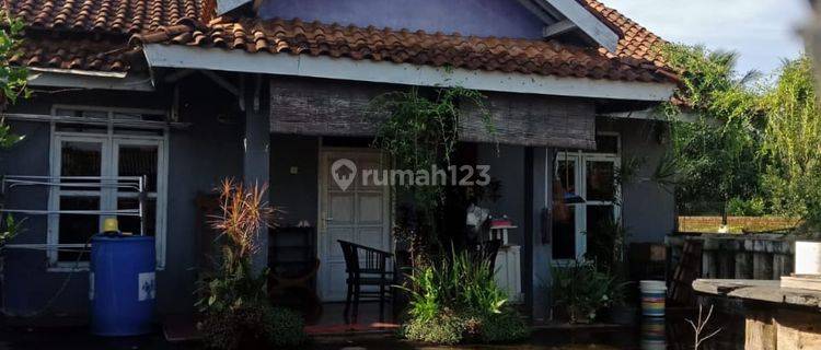 Dijual Rumah Dan Kos kosan Di Jalan Raya Mlonggo jepara, Jepara 1