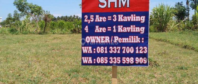 Di Jual Tanah Sangat Strategis Kavling SHM Di Pemenang Timur lombok  1