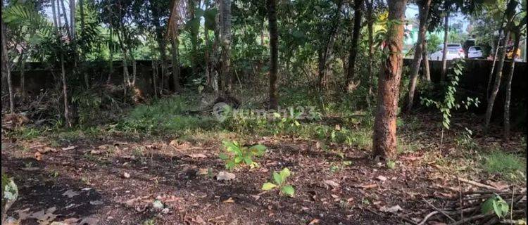 Tanah Pekarangan  Dekat Rsia Dan Gor Siyono, Playen, G. Kidul, Jogja 1