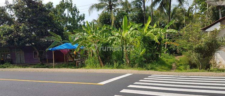 Tanah Murah Dan Strategis Dekat Stasiun , Bandara Yia, Purworejo 1