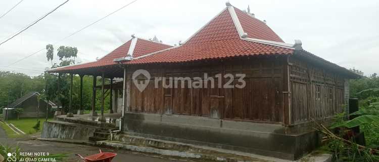 Rumah Dekat Pemkab Wonosari, Lingkungan Asri, Piyaman, Wonosar, Diy. 1