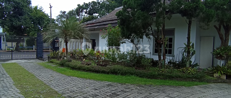 Large House & Spacious Yard, Suitable for Clinic, etc., Central Klaten 1