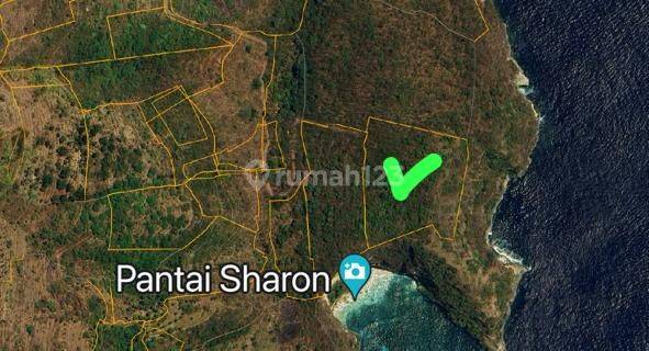 Dijual Tanah 1.5 Hektar Shm Los Tebing Di Nusa Penida Pk 1