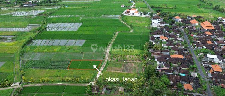 Dijual Tanah 700 M² Dekat Pantai Kelating Tabanan Pk 1