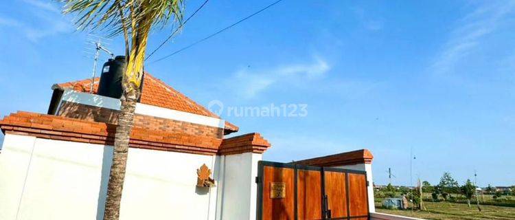 Dikontrakkan Villa Baru Renovasi View Sawah Di Sanur Cn 1