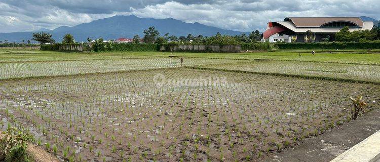 Disewakan Tanah Sawah Luas Strategis di Mainroad Soreang 1