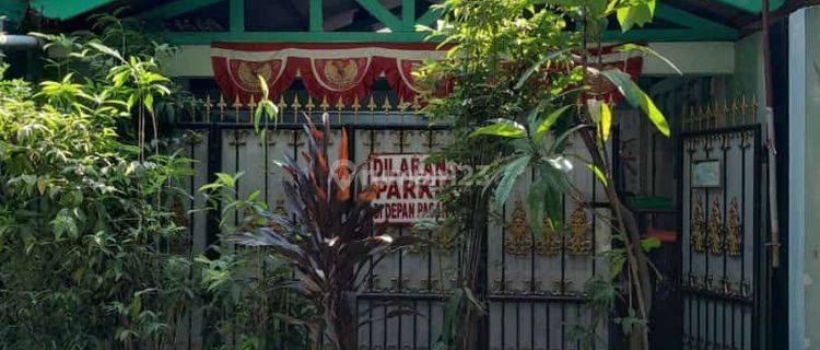 Di Jual Rumah Secondary Siap Huni Kebun Pala Jakarta Timur  1