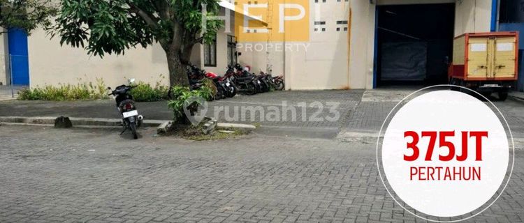 Strategic Warehouse in Majapahit Pedurungan 1