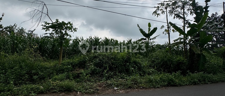 Cheap Land in Polaman Mijen Semarang by the Roadside 1