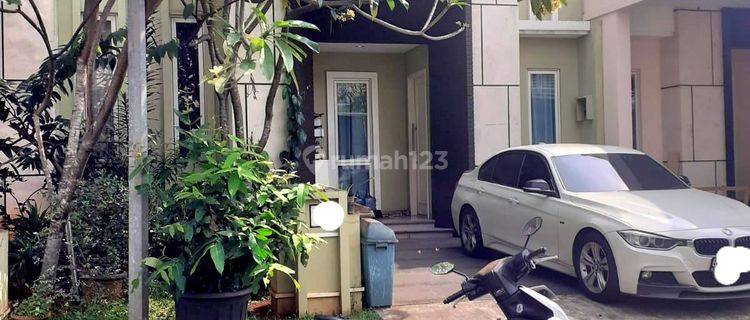 Rumah Cantik Siap Huni Dalam Cluster Elit Di Alam Sutera 1