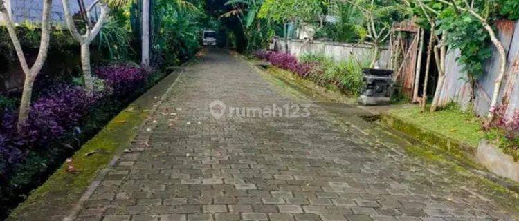 Dijual Tanah Zona Pemukiman Sangatt Murah  1