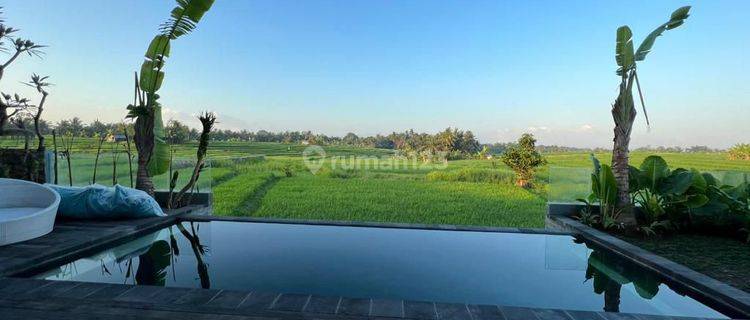 3 Bedroom Villa In Tanah Lot For Yearly Rent  1