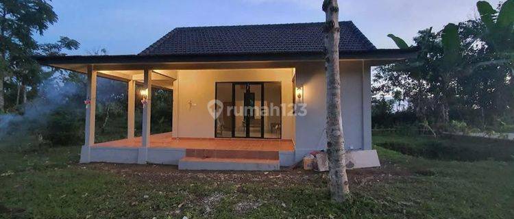 Rumah Mungil Dalam Kebun Seluas 10 Are Di Selemadek 1