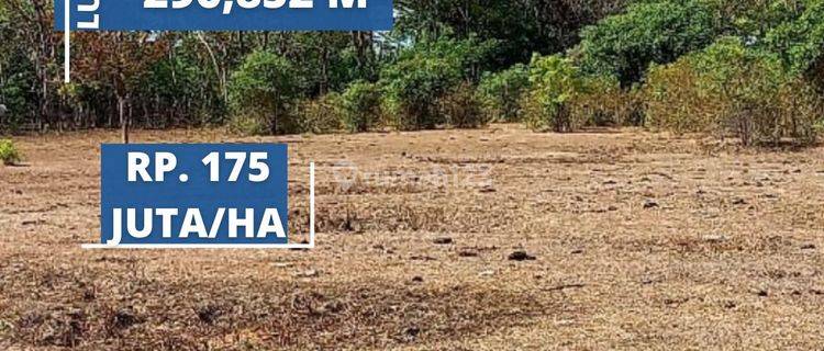 Tanah Sumbawa 296,852 M2 di Maronge T681 1