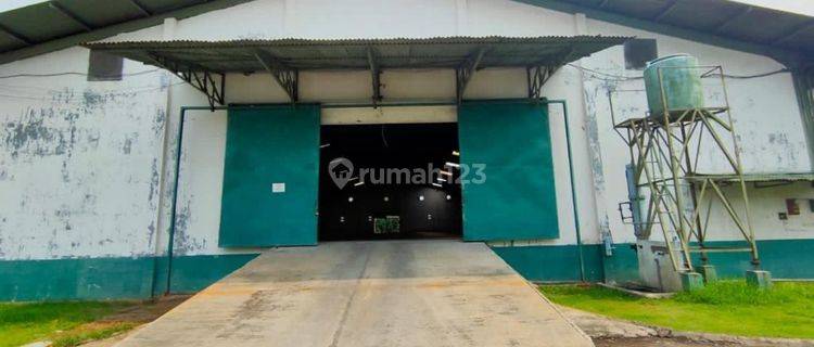Gudang 1600 m di pegangsaan bisa container  1