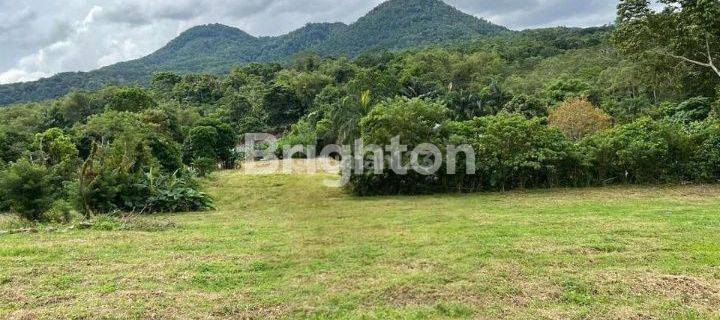 TANAH/KAVLING SIAP BANGUN DAERAH KASUANG TOMOHON 1