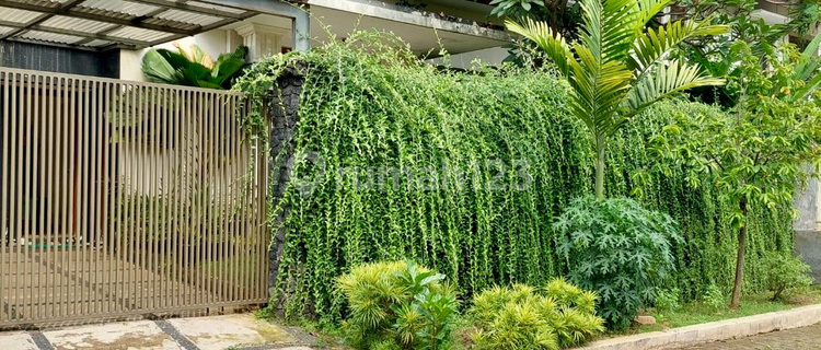 Beautiful House for Sale in Delman Tanah Kusir #265474 1