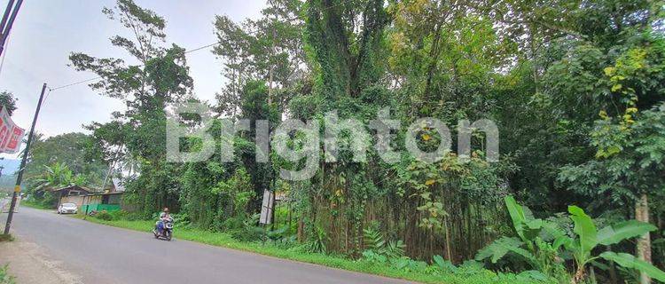 TANAH ADA SUMBER MATA AIR DI JALAN RAYA SALATIGA MUNCUL SEMARANG 1