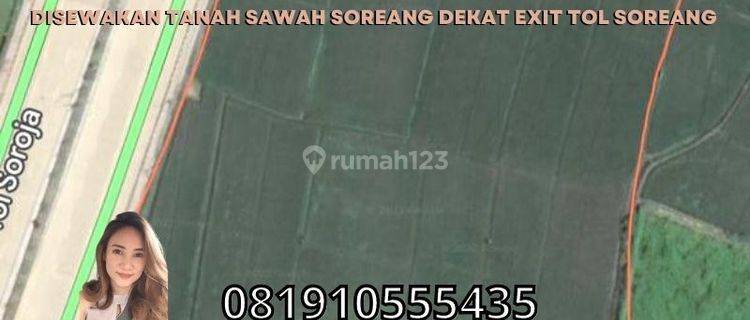 Disewakan Tanah Sawah Soreang Dekat Exit Tol Soreang 1