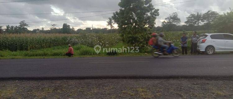 Tanah Jalur Wisata Jalan Daendels , Purworejo 1