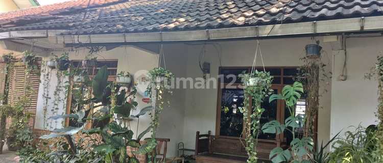 Rumah Luas Tanah 244 M2 Di Pamulang  1