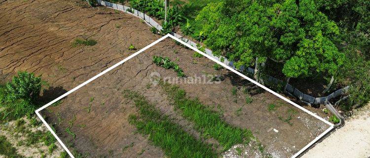 Dijual Tanah Kedungu View Sawah 1