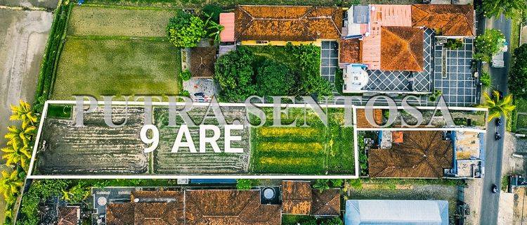 Land For Lease North Canggu Buduk Ricefield View 1