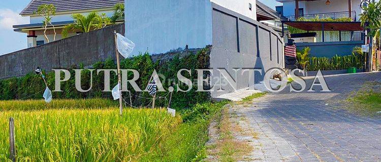 Tanah Buduk Cica Abianbase Badung 1