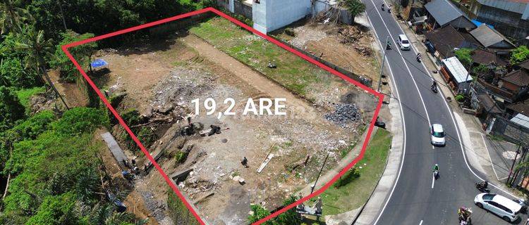 Tanah Darmasaba badung bali jalan utama super murah  1