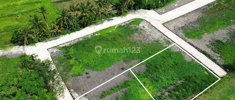 Land for sale in Kedungu 1