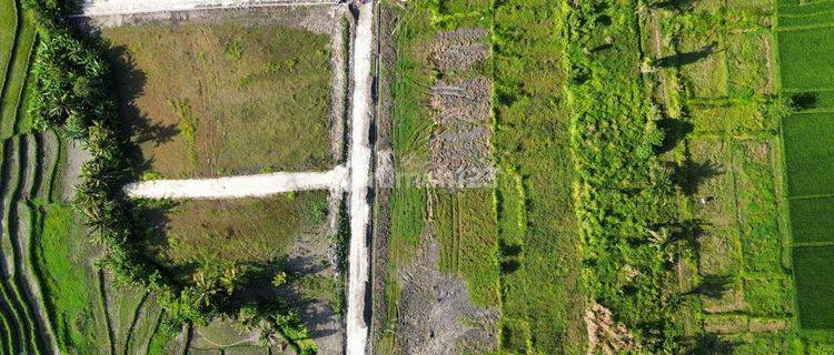 Jual Tanah di Tanah Lot Beraban Kedungu View Sawah Paling Murah 1