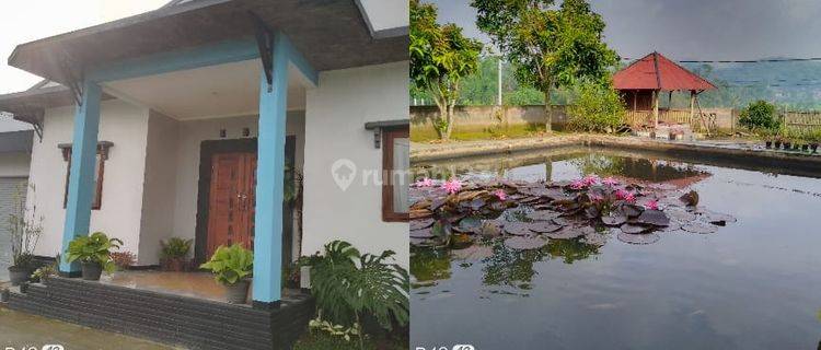 RUMAH VILLA LUAS NYAMAN STRATEGIS SIAP HUNI DI PASIR JAMBU CIWIDEY  1