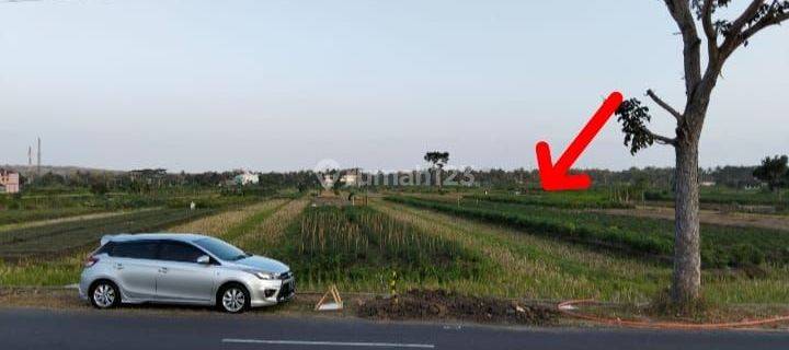 Tanah Sawah Nilai Njop Dekat Bandara Yogya International Airport 1