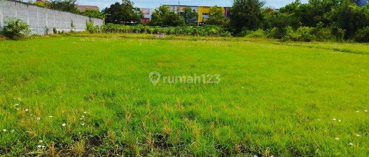 Dijual Tanah Datar Zona Komersial Pinggir Jalan Raya Veteran Lumajang, Jawa Timur 1