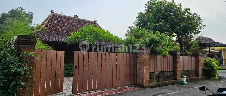 Rumah Joglo Nuansa Kayu Jati Hanya 1.5 Km Exit Tol Sragen 1