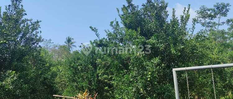 Rumah Villa di Jalan Cagak Subang 1