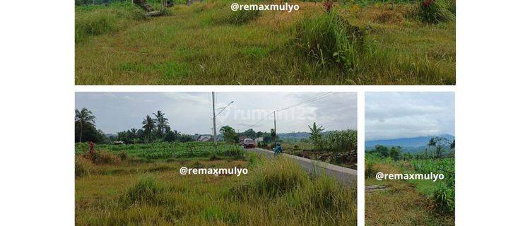 Dijual Tanah Tepi Jalan Ramai Dan Dekat Lokawisata 1