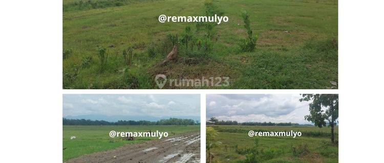 Hook Dijual Lahan Industri Strategis Seluas 11 Ha 1