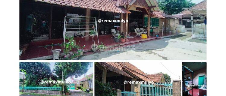 Hot Sale Dijual Rumah Tanah Strategis 1