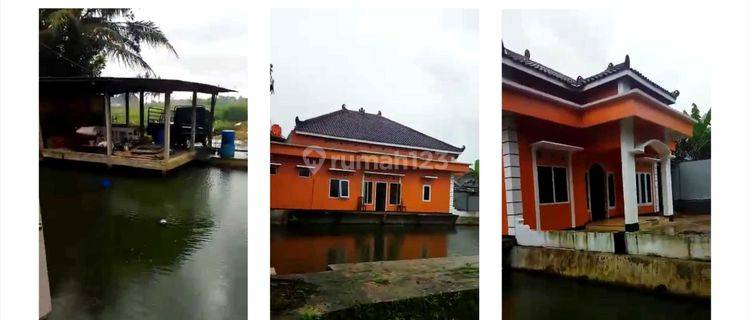 Dijual Rumah Dan Kolam Ikan Purbalingga 1