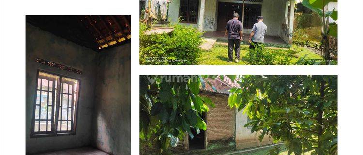 Dijual Rumah 19 Ubin 3 Kamar Lokasi Purbalingga 1