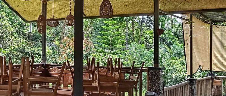 Disewa Rumah Makan Siap Pakai Dekat Tempat Wisata  1