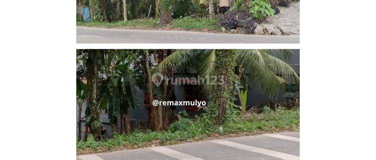 Hot Dijual Tanah Di Tepi Jalan Utama Dekat Ikn 1