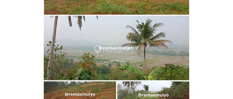 Dijual Tanah Dengan View Bagus Tepi Jalan Provinsi  1