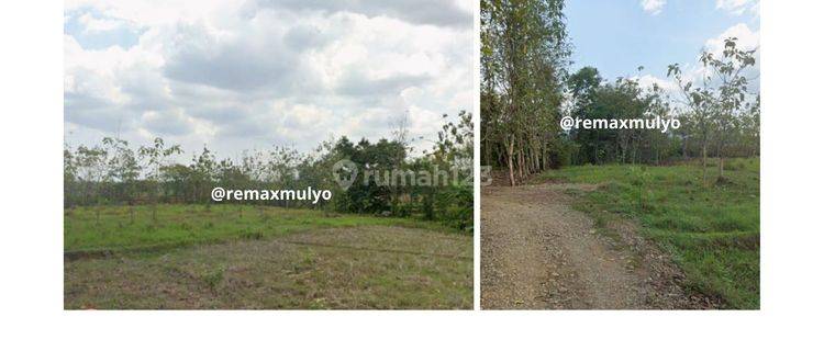 Dijual Lahan Di Kawasan Industri 7.000 m² 1