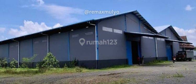 Disewa Gudang SHM Seluas 1200 m2 Di kota Purwokerto 1